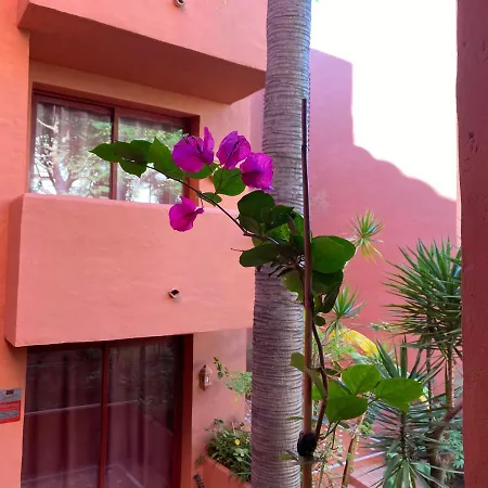 Appartement Don Carlos Marbellac