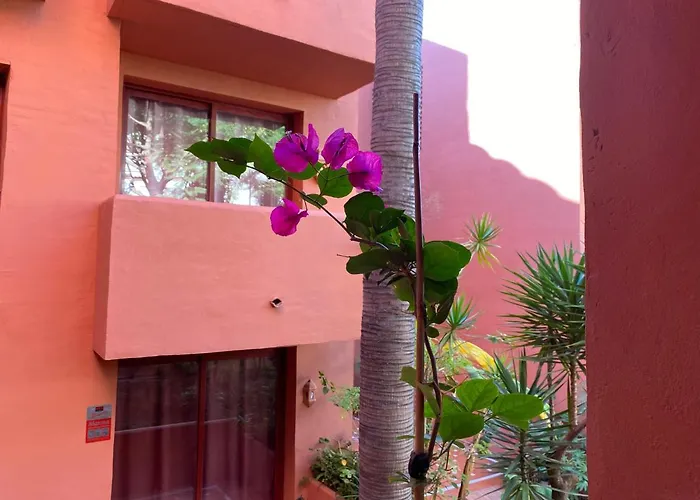 Apartament Don Carlos Marbella