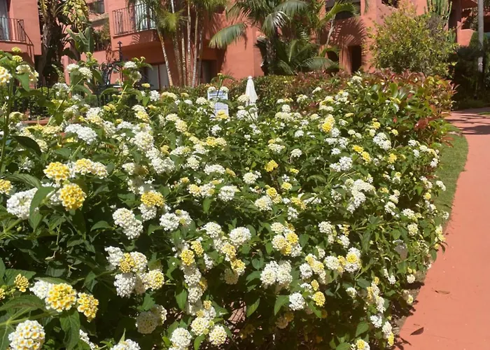 Apartament Don Carlos *